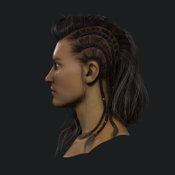 Interactive 3D Models